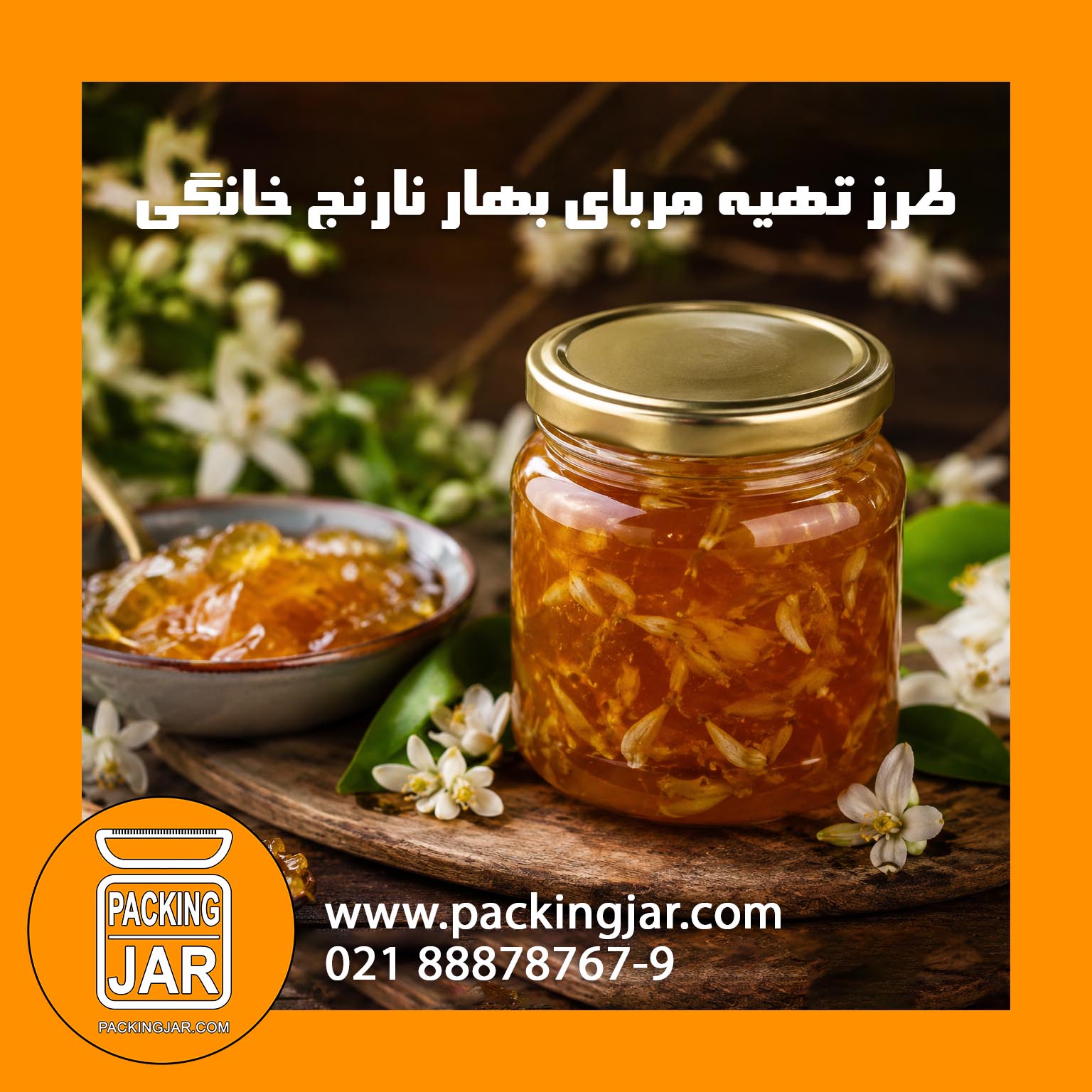 packingjarcom weblog 062