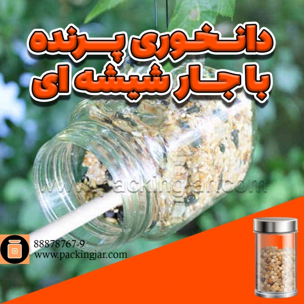 دانخوری پرنده با جارشیشه ای