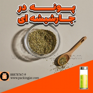 پونه در جار شیشه ا ی