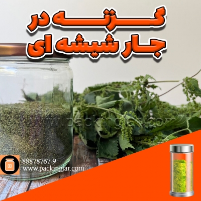 گزنه در جارشیشه ای