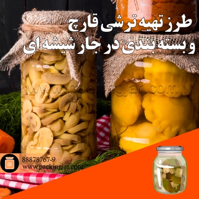 طرز تهیه ترشی قارچ و بسته بندی در جار شیشه ای